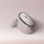 Shell Party Sydney