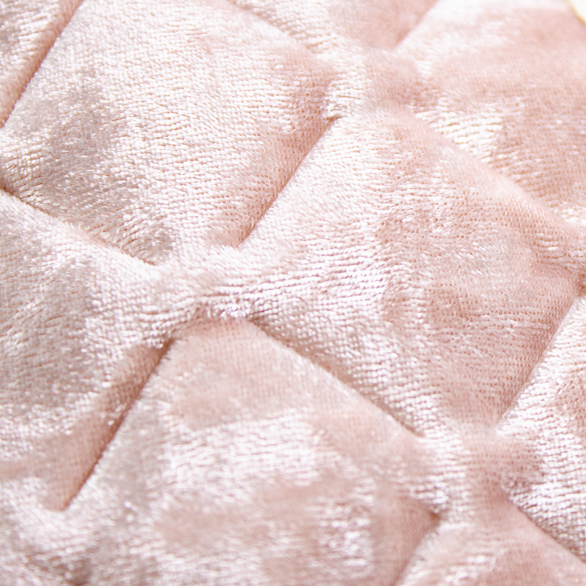 Pink Beauty Pouch Velvet Muse