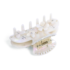 Belle Hair Clip in White Petal Whisper
